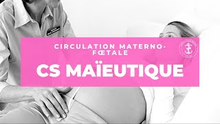 La circulation maternofoetale  TSB [upl. by Annalise446]