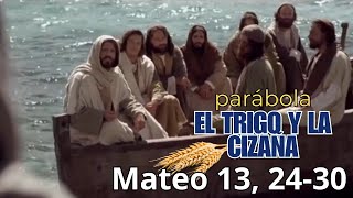 🌾 Parábola del Trigo y la Cizaña 📖  Mateo 132430  Jesús Enseña con Parábolas 🙏 [upl. by Pozzy]