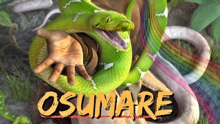 Orisa Osumare  Oxumare  Série Os Orisas [upl. by Euqirne]