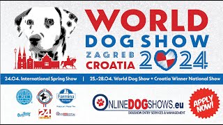 World dog show 2024 in Zagreb Croatia [upl. by Eenalem]