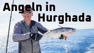 Meeresangeln im Urlaub Die besten Köder zum Thunfisch angeln im Jänner  Fishingprofi [upl. by Annadroj]