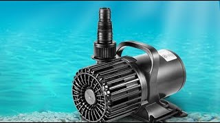 1600 GPH Submersible Pond Pump Water Pump Review Everything I needed from a powerful pump for my w [upl. by Aicsila]