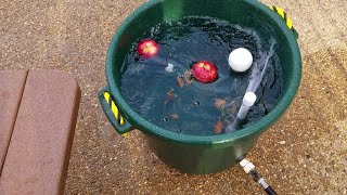 Crawfish crab or lobsta cleaningpurging plus multipurpose bucket [upl. by Inaflahk]