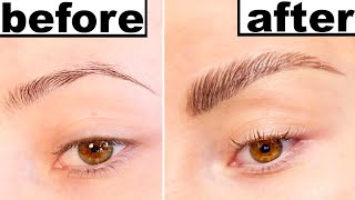 DIY EYEBROW LAMINATION [upl. by Franny]