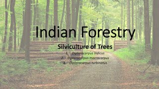 Silviculture of trees  Indian Forestry Lecture6 [upl. by Hajidahk]