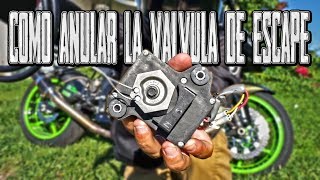 COMO ANULAR LA VÁLVULA DE ESCAPE DE TU MOTO YO QUITAR EL SERVOMOTOR [upl. by Kanter]