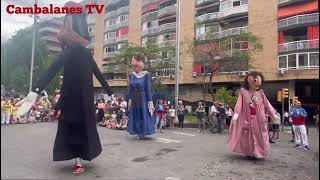 Gegants de Sant Medir  Festa Major de la Bordeta a la Rambla Badal 2024 [upl. by Schou]