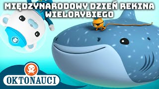 Oktonauci  🐋 Międzynarodowy Dzień Rekina Wielorybiego 🦈  Kompilacja  Całe odcinki [upl. by Kiley]