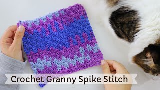 Crochet Granny Spike Stitch Tutorial [upl. by Engedus]