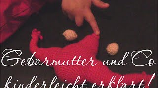 Gebärmutter und Co  kinderleicht erklärt [upl. by Gladwin198]