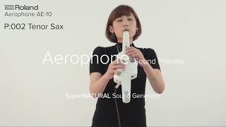 Roland Aerophone AE10 Sound Preview [upl. by Greggory]