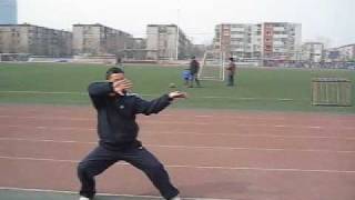 Li style Taiji Quan  Master Zhou jingxuan [upl. by Relyk]