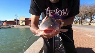 Ascarate Lake Fishing for catfish March 4 2024 IMG 4593 [upl. by Sadoff260]