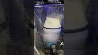 Reef Tank Equipment Upgrade  Simplicity DC Protein Skimmer [upl. by Ahsenrat]