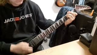 Marduk  The Blond Beast guitar cover [upl. by Arraeit]