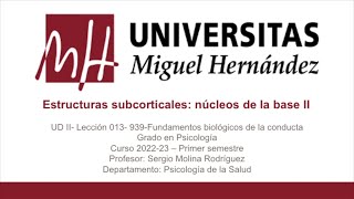 UDII Lec013 Estructuras subcorticales núcleos de la base II Parte 001umh0939 202223 [upl. by Berg]