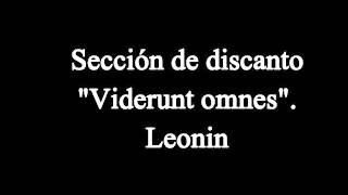 Sección de discanto en quotViderunt omnesquot de Leonin [upl. by Regor258]