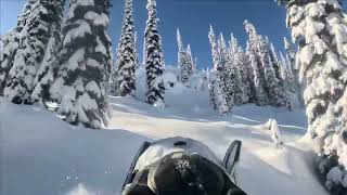 Heres the snow conditions in Revelstoke BC Feb 13 2024 [upl. by Afirahs240]