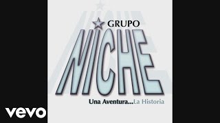 Grupo Niche  Te Enseñare A Olvidar Cover Audio Video [upl. by Casilde311]