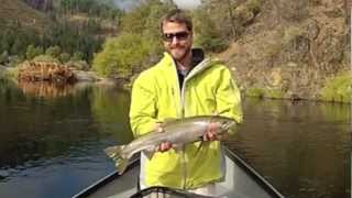 Trinity River Steelhead  Hookem Heckys Guide Service [upl. by Atreb136]