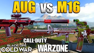 Which Cold War Burst Rifle is the Best in Warzone M16 vs AUG  CW Comparing Stats amp Class Setups [upl. by Eseneg]