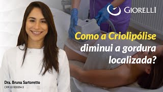 Como a Criolipólise diminui a gordura localizada [upl. by Armanda]