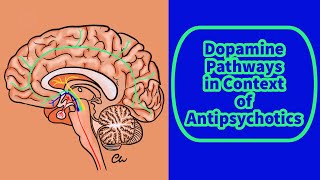 Dopamine Pathways In Context Of Antipsychotics [upl. by Anola]