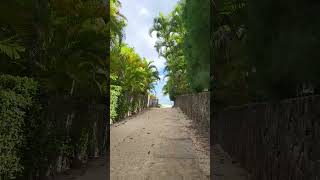 lanikai beach in Hawaii oahu [upl. by Nesrac]