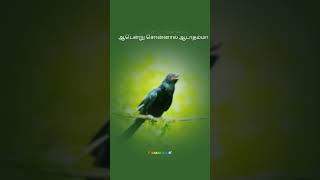 Kalyana maalai songwhatapp status video full screen [upl. by Eneleahs]