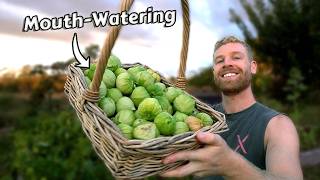 Growing Tomatillos from SEED to HARVEST and How To Use Them 🤤 [upl. by Alocin]