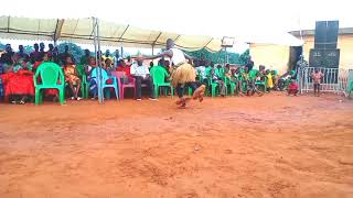 vidéo dais Groupe bakanti fort partage la Roméo drouvi 100 danseur de kouassi choco 0161149710 [upl. by Schertz]