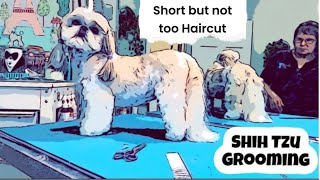 GROOMING a SHIH TZU in a SHORT but not too short cute haircut Easy to maintain [upl. by Bachman805]