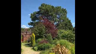 Gorgeous and Stunning Chichester Bishops Palace Gardens with the Cathedral Behind ⛪garden shorts [upl. by Marieann405]