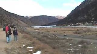 Bighorn Sheep Encounter  Georgetown Colorado [upl. by Atnim]