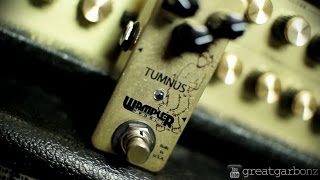 Wampler Tumnus Overdrive Pedal Demo [upl. by Olonam585]