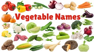 Vegetables name  vegetables name in english  Vegetables pictures  Name of vegetables in english [upl. by Zoldi]