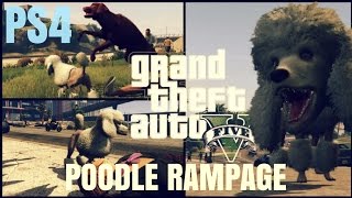 GTA 5 Peyote Location  POODLE PS4 Gameplay 1080p HD [upl. by Guillemette173]