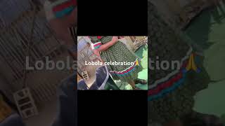 Lobola celebration southafricanyoutuber vlog lobola [upl. by Clarise]