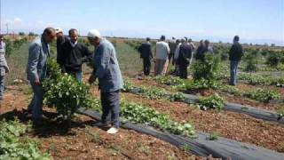 formation de goutte a goutte maroc [upl. by Camille]