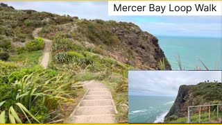 Auckland most beautiful beach Mercer Bay Loop Walk [upl. by Ahsyen]