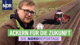 Ackern für die Zukunft  Der junge Kartoffelbauer  Die Nordreportage  NDR [upl. by Ayaladnot]