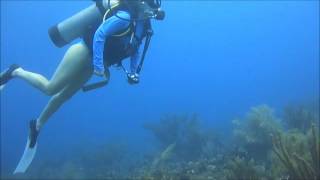 27 de junio de 2013 buceo en baru y bajos de salmedina con buzos de baru cartagena colombia [upl. by Neelia807]