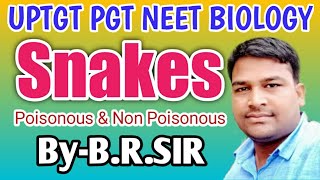 Snake full lecture  Poisonous and Non Poisonous snake  tgt pgt most important points of snakes [upl. by Ynnel]