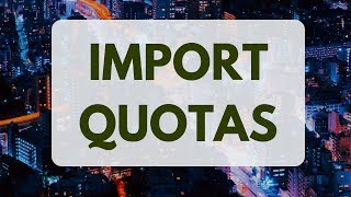 Import QUOTAS in Economics [upl. by Gambrell438]