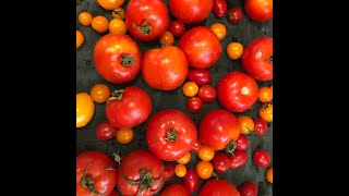 GARLIC ROASTED TOMATOES – AUTUMN 2024 [upl. by Richmond]