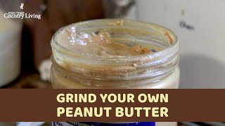 make your own Peanut Butter with the Ninja 1200 blender  so easy a 3yrold can do it [upl. by Ydor868]