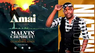 Malvin Chimbetu  Amai [upl. by Ocirred753]