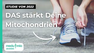 Mitochondrien in Topform ​🔬​ Studie 2022 So hilft Bewegung Deinen Zellen [upl. by Odab]