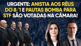 Anistia aos presos do 81 e pauta bomba para STF live com Carol de Toni [upl. by Carilla]