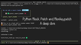 Python Mock Deep Dive  12 Patching requests using PyTests monkeypatch [upl. by Annaert]